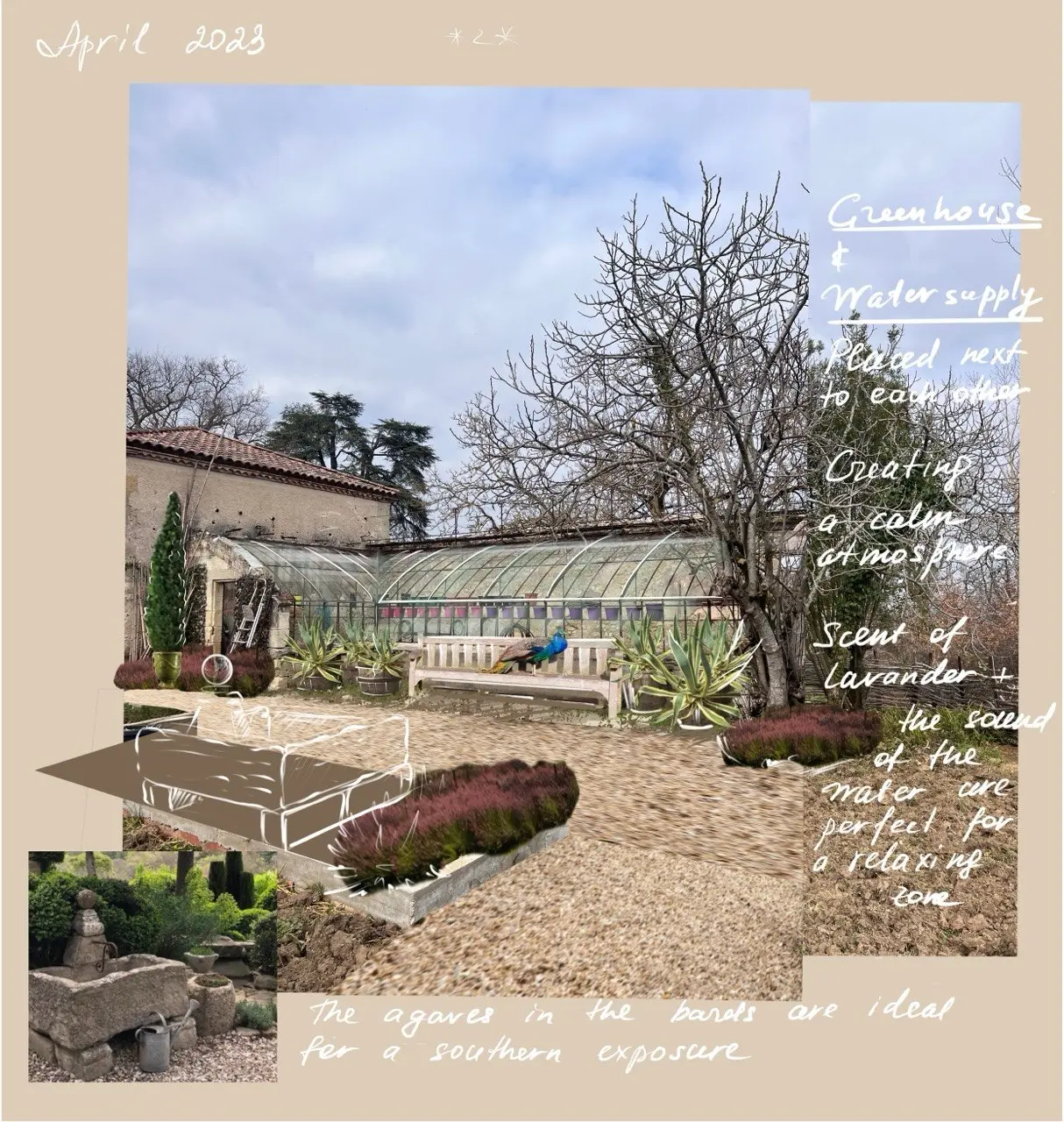 Greenhouse, water and drought-tolerant planting study
