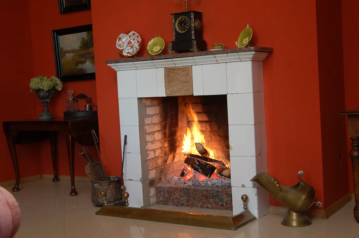 Fireplace and interior material detail