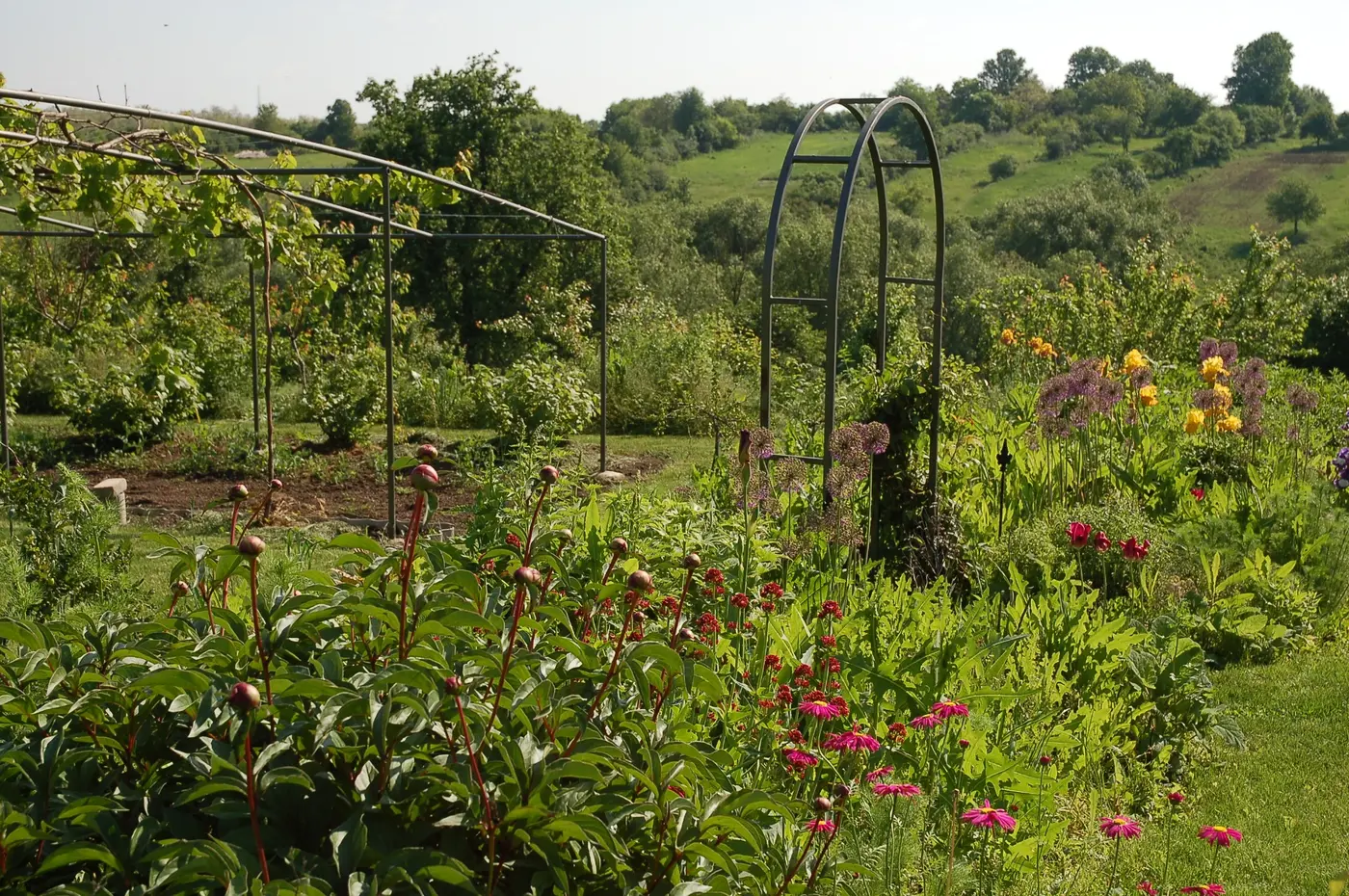 Productive garden and layered landscape structure